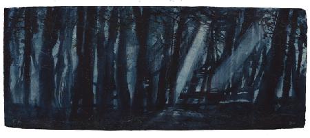 Moonlit Woods