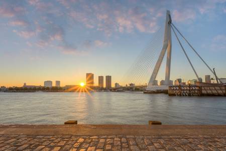 Erasmusbrücke in Rotterdam