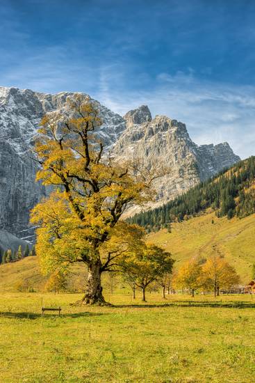 Großer Ahornboden Österreich