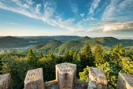 Pfälzerwald Blick vom Rehbergturm in Richtung Burg Trifels