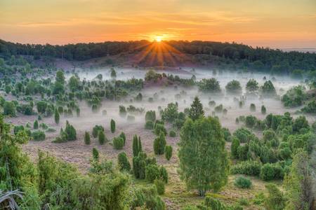 Sonnenaufgang über dem Totengrund in der Lüneburger Heide