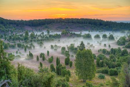 Totengrund in der Lüneburger Heide