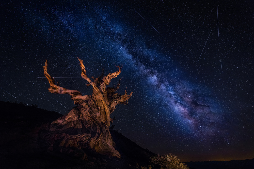 Shooting Stars Night de Michael Zheng