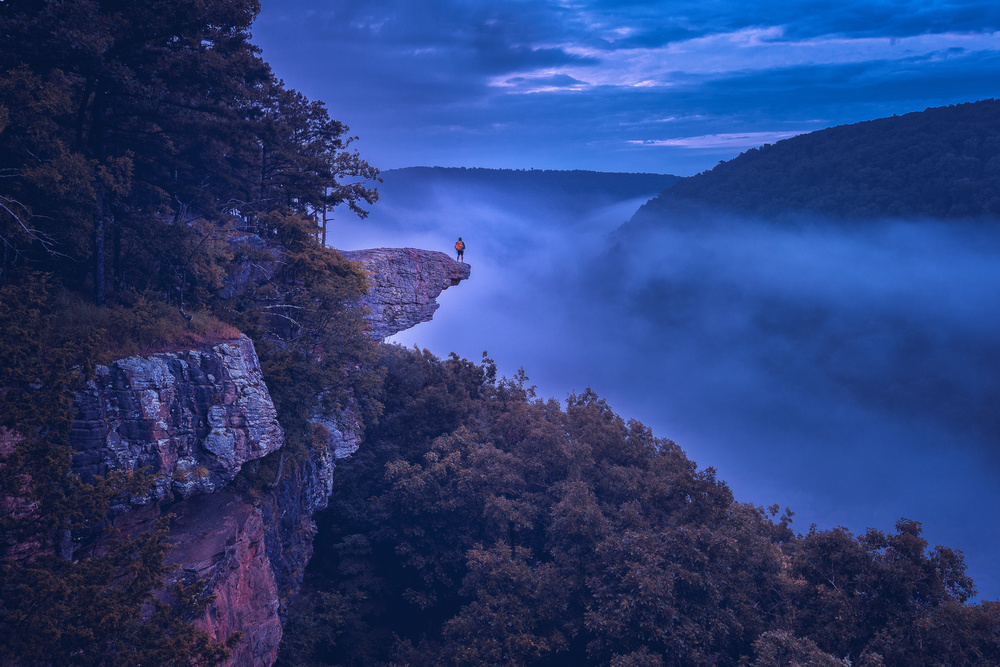 Whitaker Point de Michael Zheng