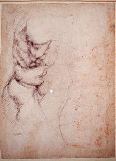 Study of torso and buttock de Miguel Ángel Buonarroti