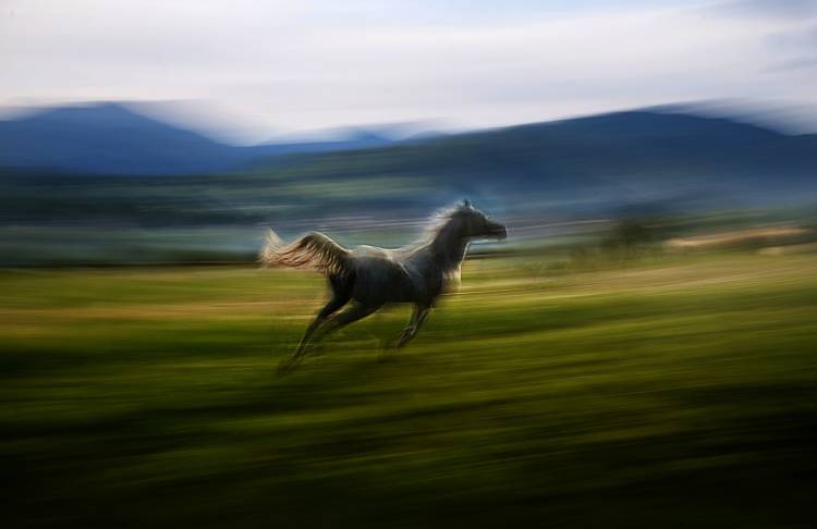 Alone de Milan Malovrh