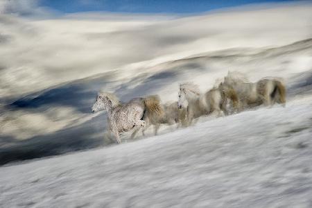 winter in high mountains