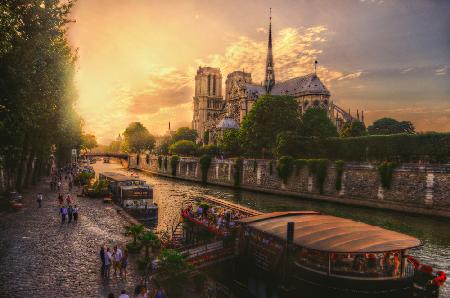 Cathédrale Notre-Dame de Paris