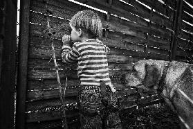 the world from behind the fence