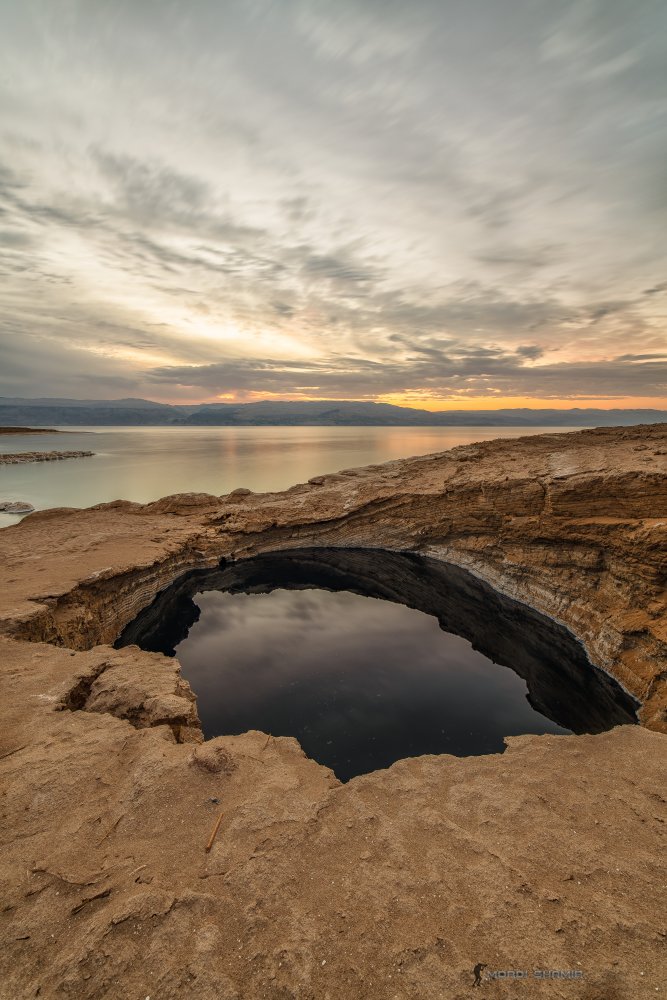 The Dead Sea Swallow de mordi