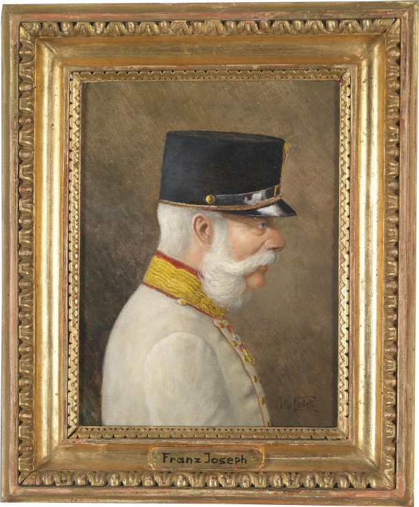 Portrait of Franz Joseph I of Austria de Moritz Ledeli