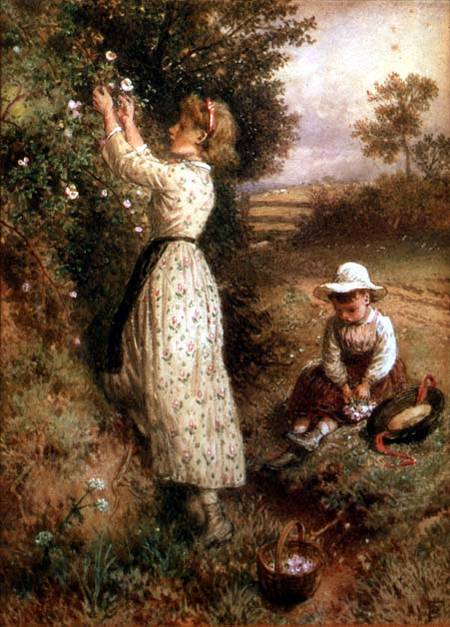 Wild Roses de Myles Birket Foster