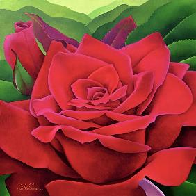 The Rose, 2003 (oil on canvas) 