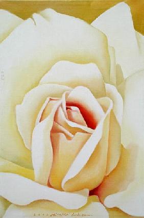 The Rose, 2002 (oil on canvas) 