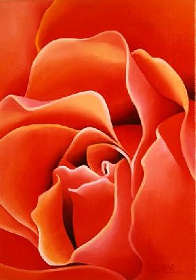 The Rose, 2003 (oil on canvas) 