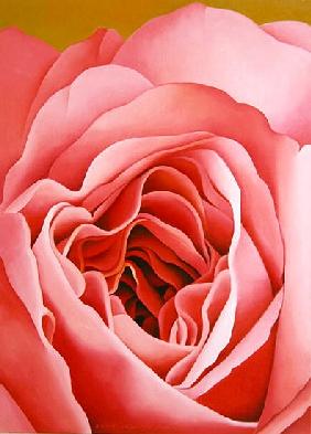 The Rose, 2004 (oil on canvas) 