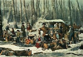 American Forest Scene - Maple Sugaring