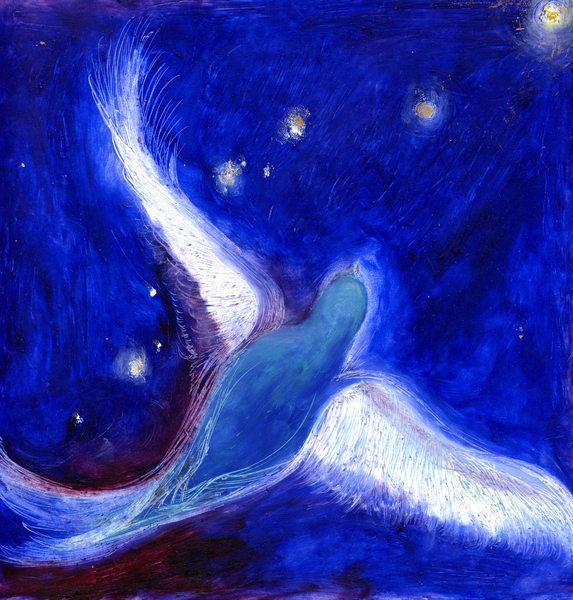 Star Bird de Nancy Moniz Charalambous