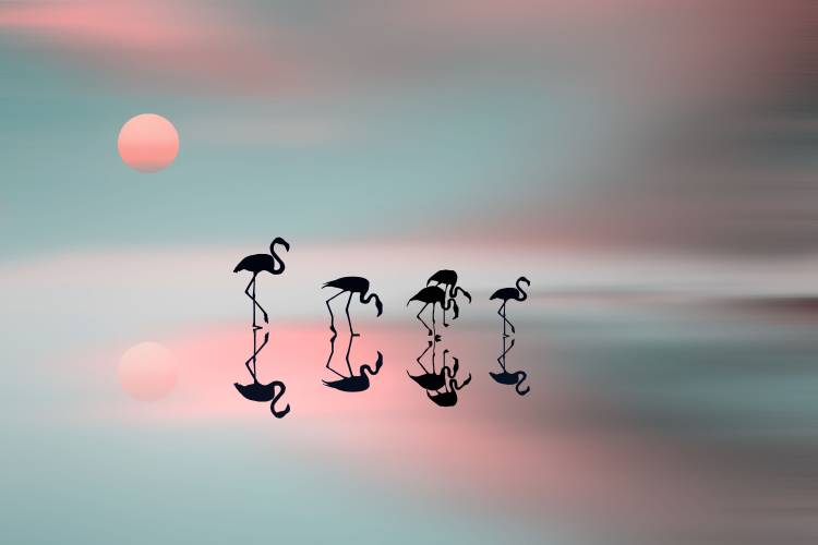 Family flamingos de Natalia Baras