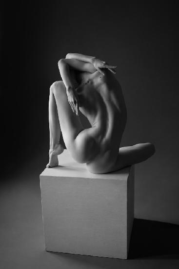 Sculptors muse