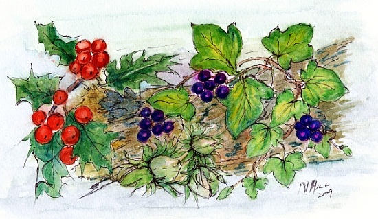 Log of Ivy, Holly and Hazelnuts de Nell  Hill
