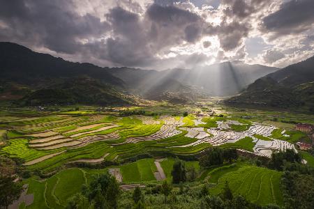 Terrace in Tu Le_Yen Bai_Viet Nam