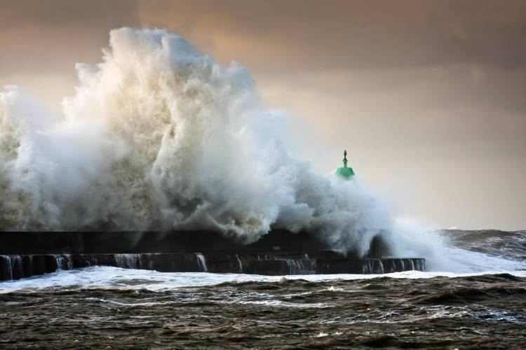 The Wall de Niels Christian Wulff