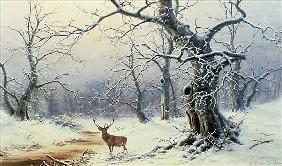 A Stag in a wooded landscape