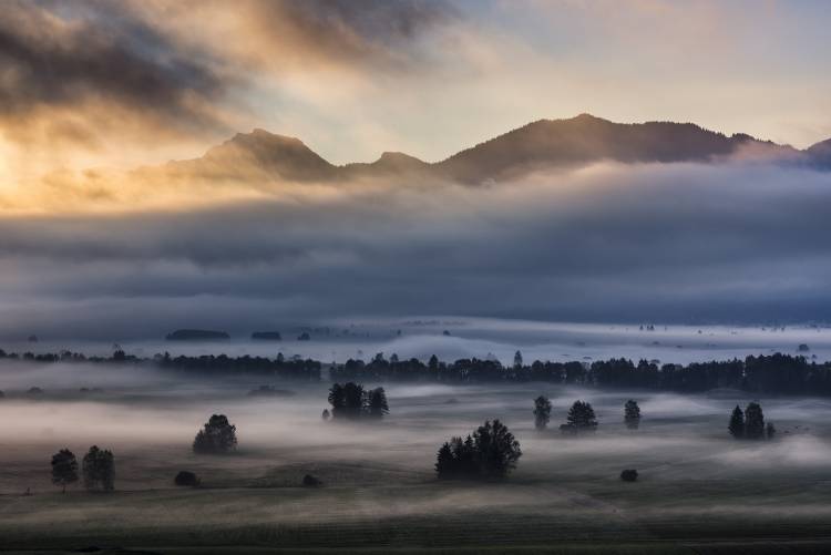 Autumn Morning... de Nina Pauli