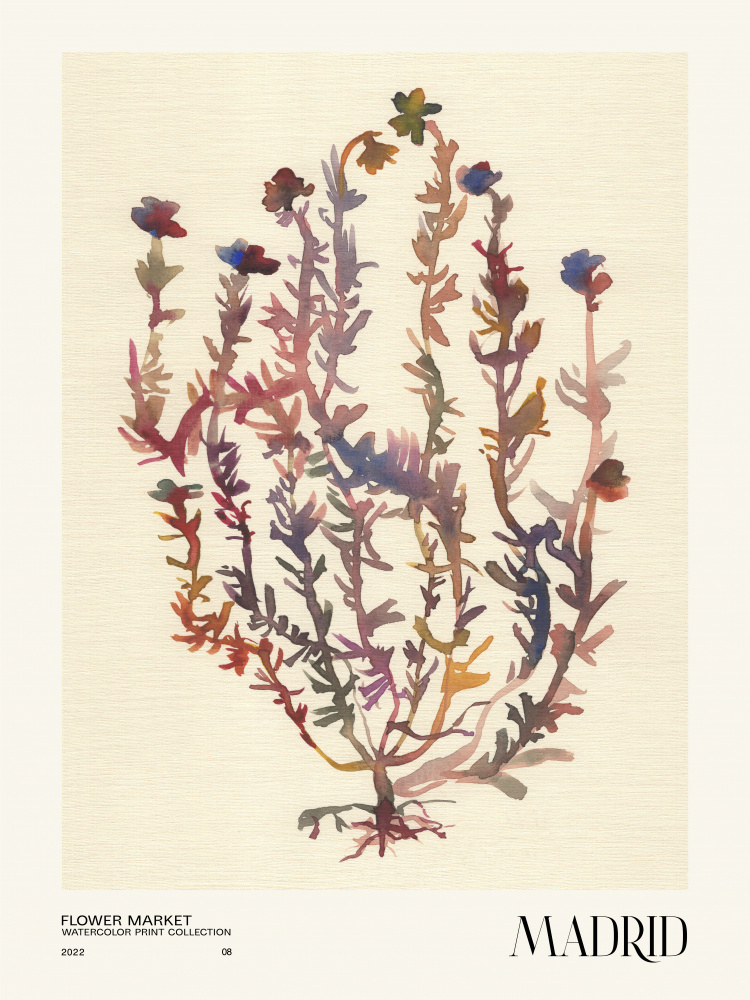 Watercolor print collection. Flower market - Madrid de NKTN