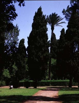 View of the garden, designed by Giacomo Vignola (1507-73) for Cardinal Alessandro Farnese (1546-92) de 