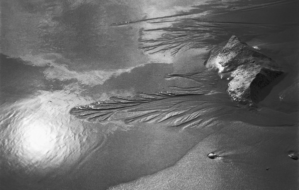 Creepers designs refection of sun and rock on sand, Porbandar (b/w photo)  de 