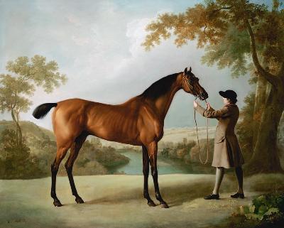 Tristram Shandy, A Bay Racehorse Held By A Groom In An Extensive Landscape