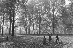 Children playing under chinar trees during fall, Srinagar (b/w photo) 