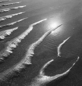 Creepers designs on sand in Porbandar area of Gujarat (b/w photo) 