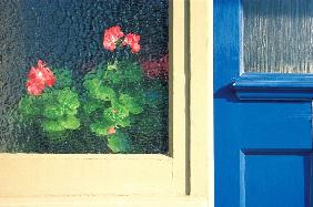 Geranium and serrated leaves seen through frosted glass, Wembley (photo) 