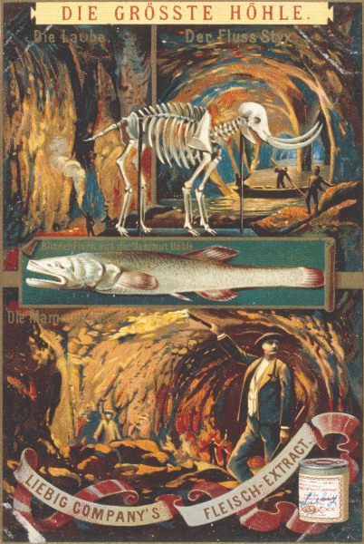 Mammoth Cave , Liebig Card de 