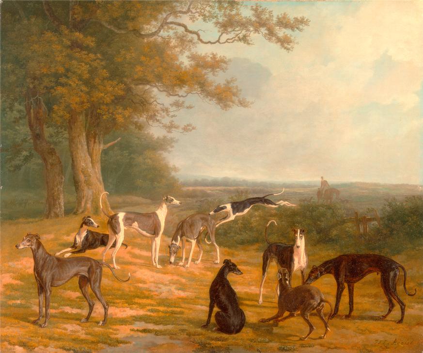 Nine Greyhounds in a Landscape Signed de 
