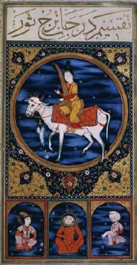 Taurus / Turkish Miniature / C16