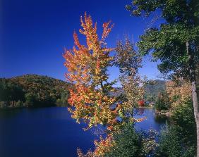 View in the Appalachian Mountains (photo) 