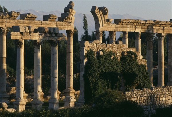 View of a colonnade (colour photo)  de 