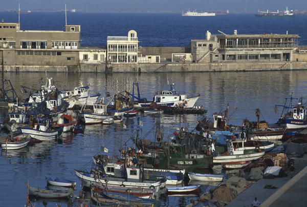 View of the port (photo)  de 