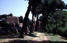 View of the park, detail of the Roman wall (photo)