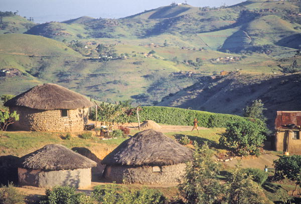 Zulu Village, near Eshowe (photo)  de 