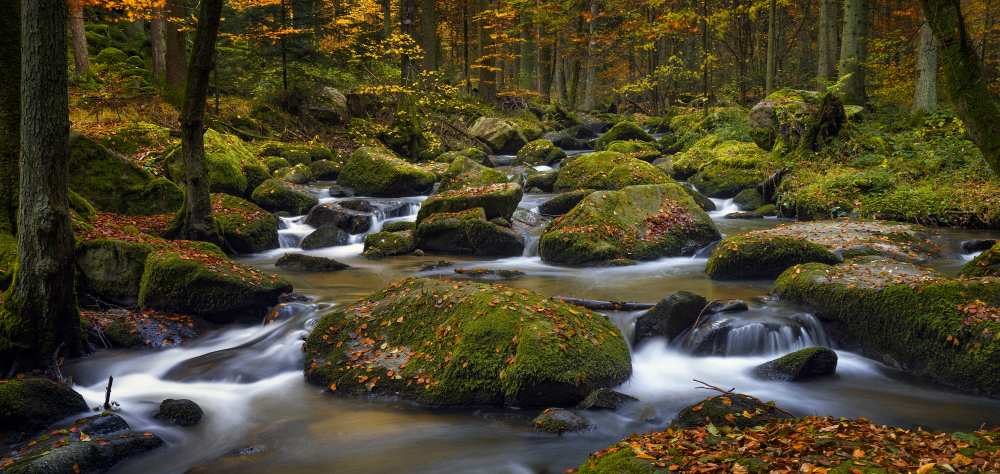 autumn waters de Norbert Maier