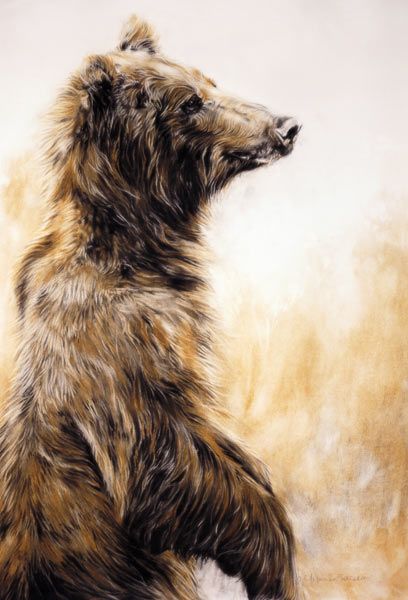 Grizzly Bear 2, 2002 (carbon pencil, charcoal & chalk)  de Odile  Kidd