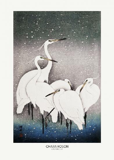 Group Of Egrets