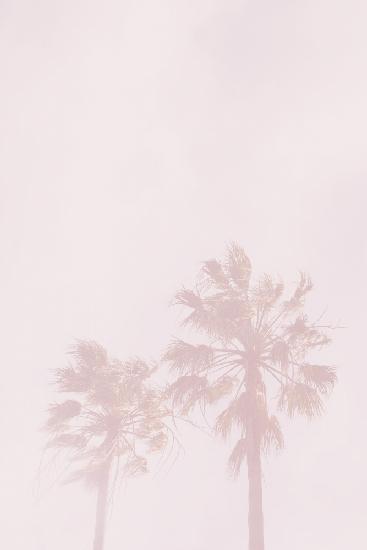 Pink Palms