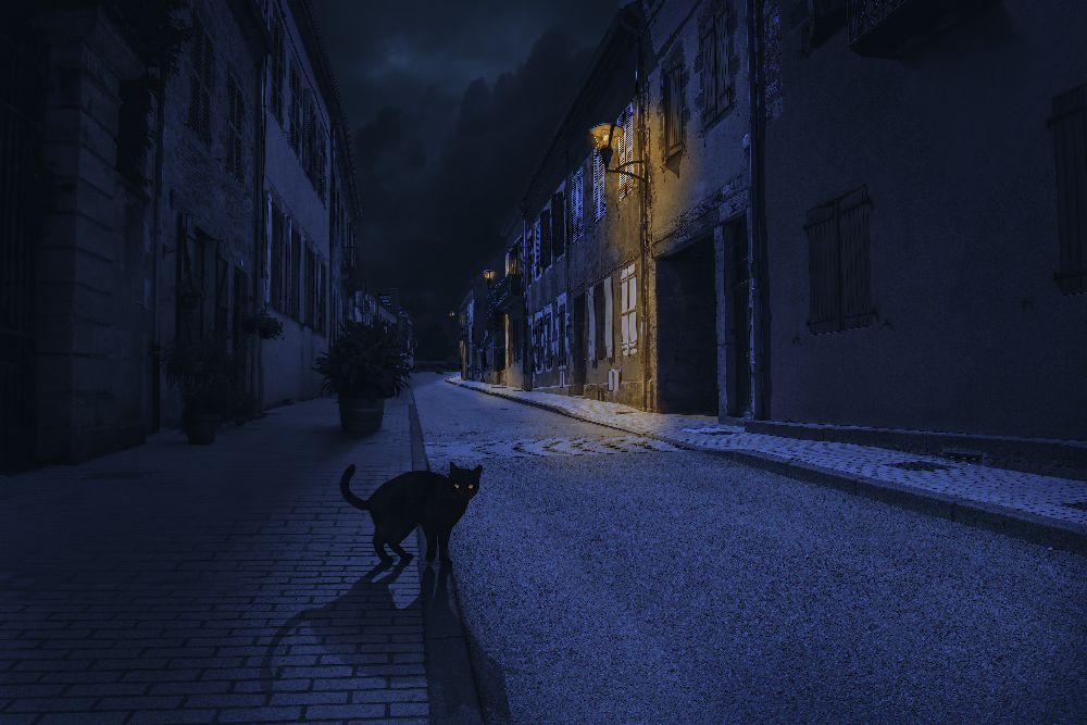 Le Chat Noir de Omar Brunt
