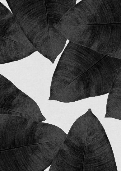 Banana Leaf Black &amp; White II